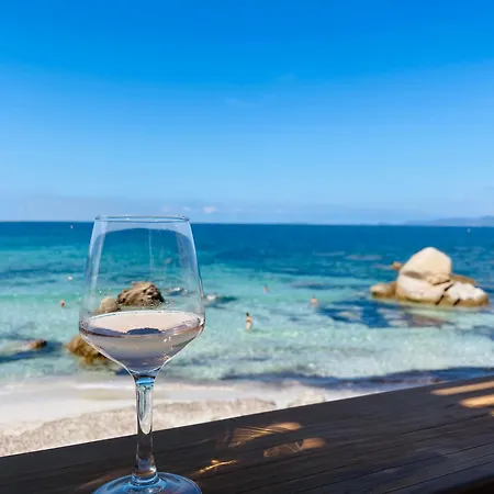 Casa Felicita Apartment